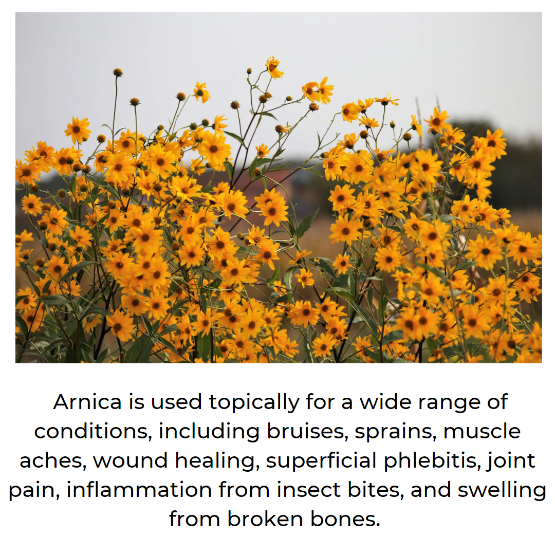 Arnica Balm - Muscle & Joint Relief