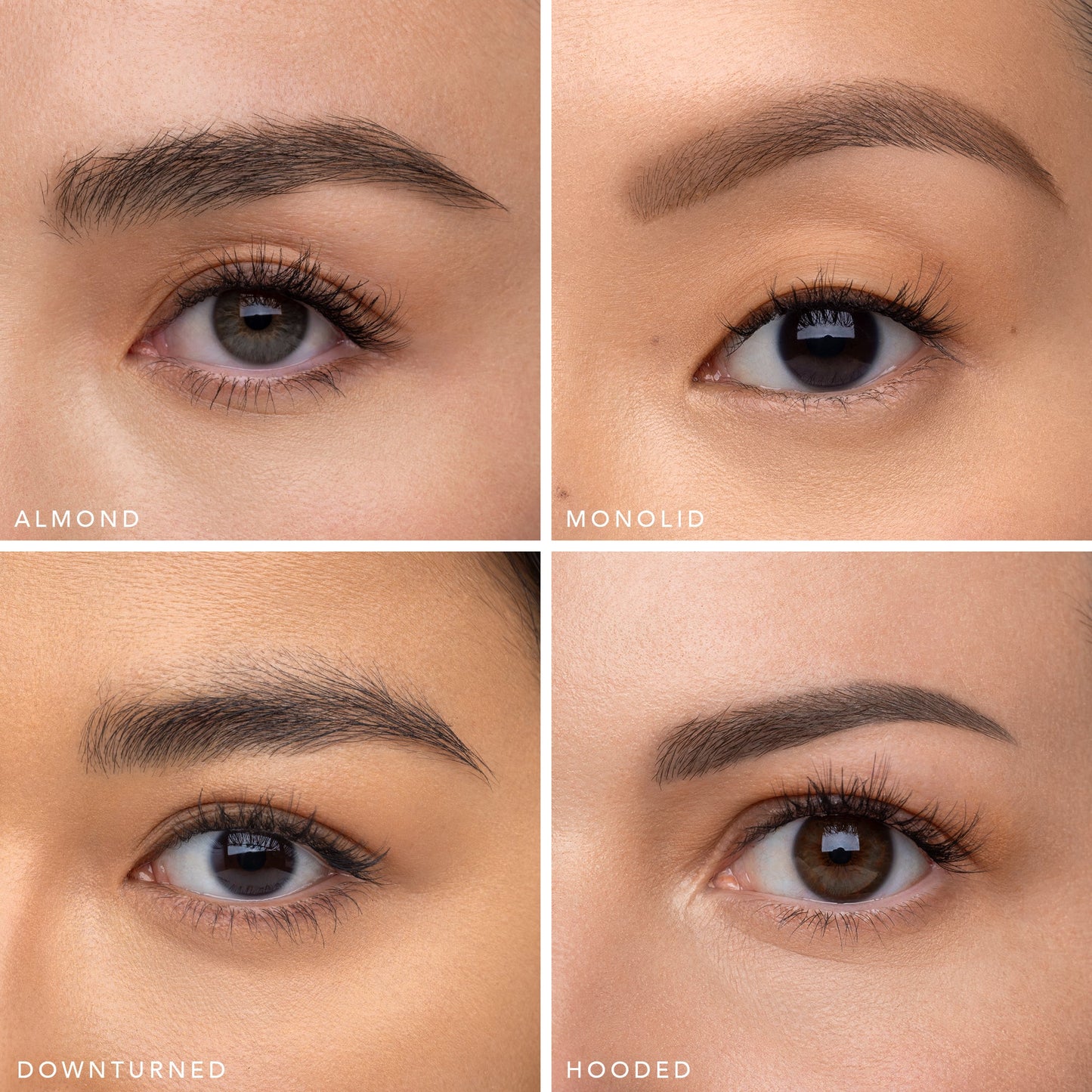 The Sweetie - Half Lash