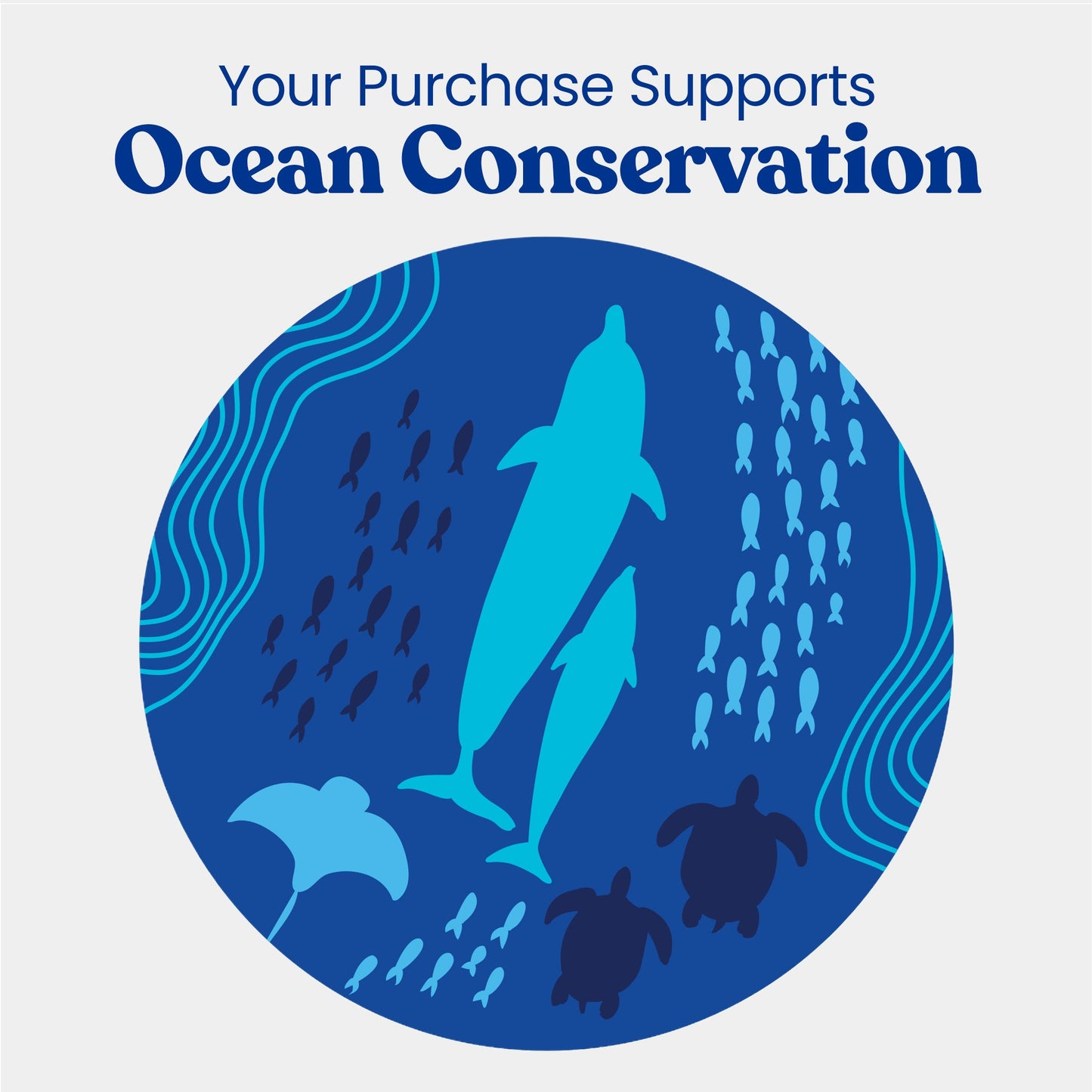Revolve Manual Toothbrush with Replaceable Head - Ocean Conservation