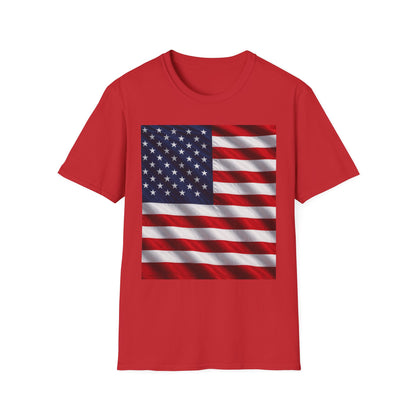 American Flag Graphic T-Shirt | USA Flag Tee, Patriotic Shirt