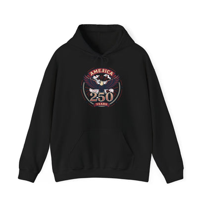 America 250 Years Eagle Graphic Hoodie | Fireworks Backprint