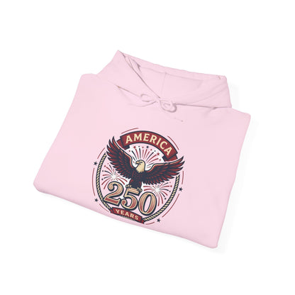 America 250 Years Eagle Graphic Hoodie | Fireworks Backprint