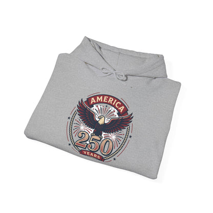 America 250 Years Eagle Graphic Hoodie | Fireworks Backprint