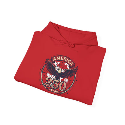 America 250 Years Eagle Graphic Hoodie | Fireworks Backprint