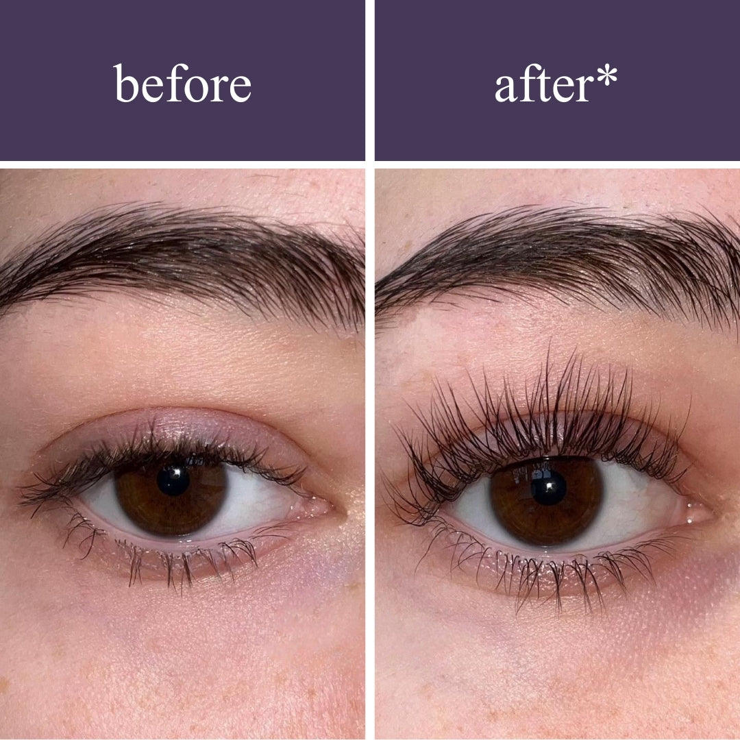 Lash & Brow Wonder Bundle
