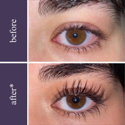 Lash & Brow Wonder Bundle