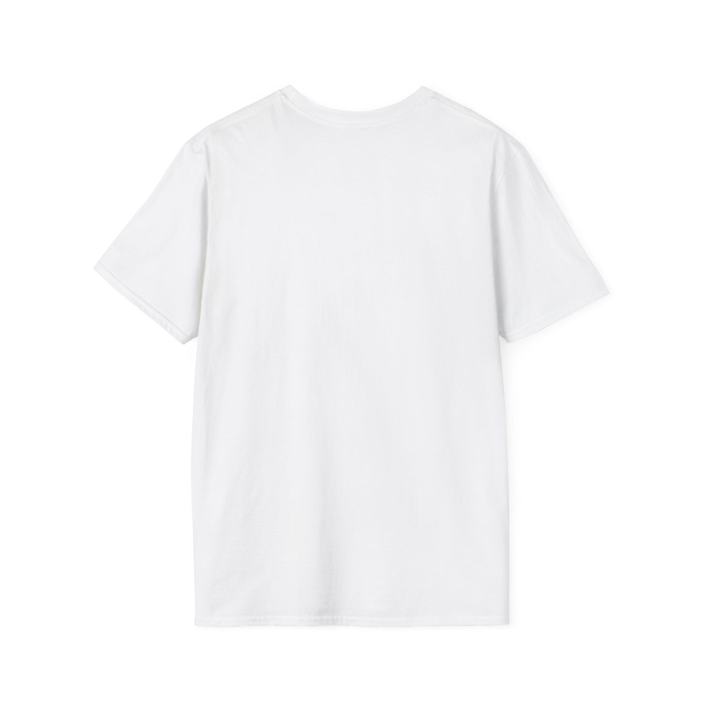 American Flag Graphic T-Shirt | USA Flag Tee, Patriotic Shirt