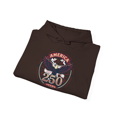 America 250 Years Eagle Graphic Hoodie | Fireworks Backprint