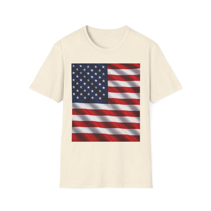 American Flag Graphic T-Shirt | USA Flag Tee, Patriotic Shirt