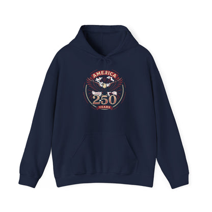 America 250 Years Eagle Graphic Hoodie | Fireworks Backprint