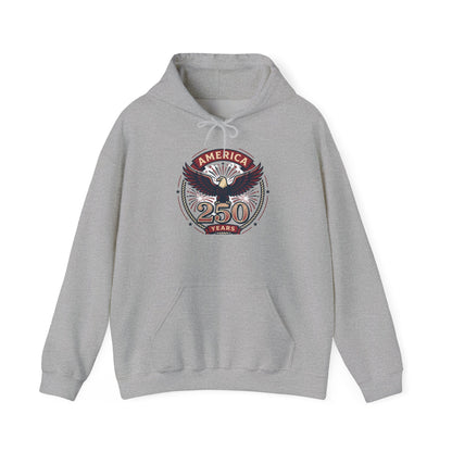 America 250 Years Eagle Graphic Hoodie | Fireworks Backprint