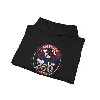 America 250 Years Eagle Graphic Hoodie | Fireworks Backprint