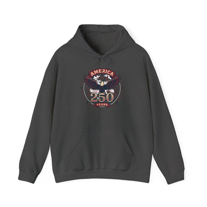 America 250 Years Eagle Graphic Hoodie | Fireworks Backprint