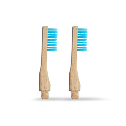 Revolve Toothbrush Starter Set