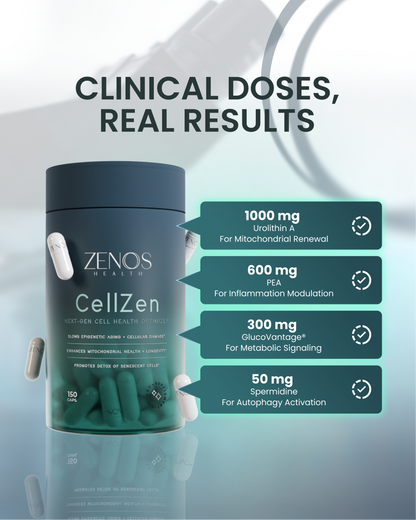 CellZen