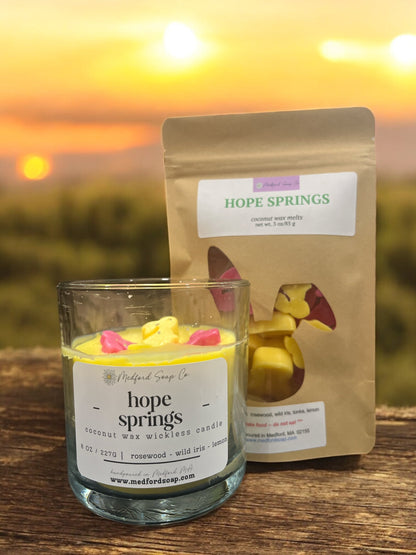 Wickless Candles & Wax Melt Cups