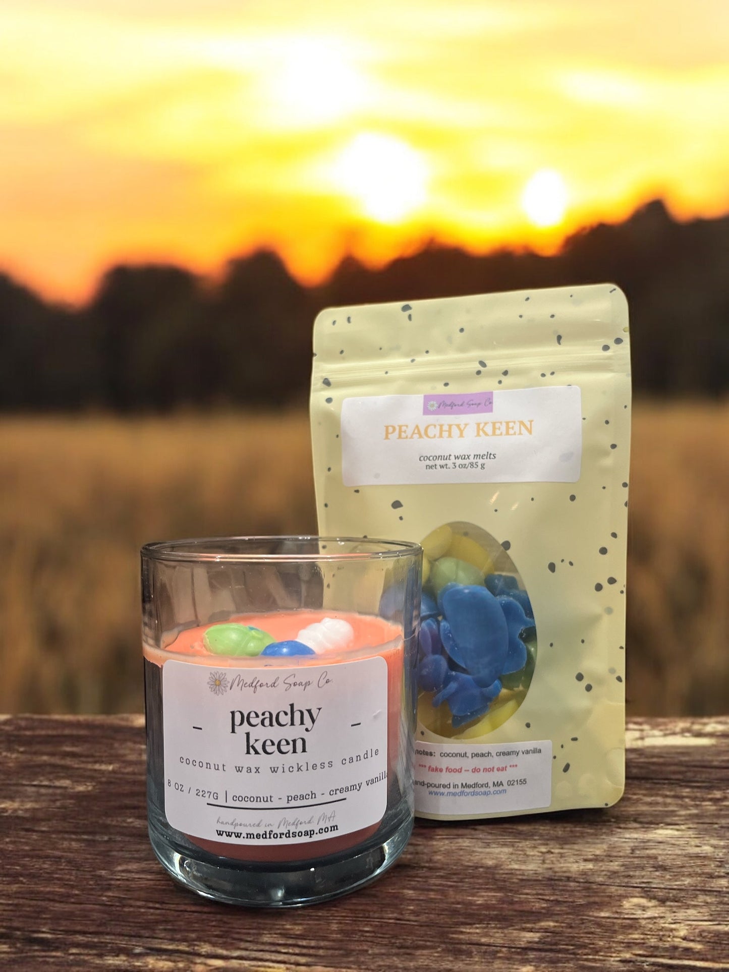 Wickless Candles & Wax Melt Cups