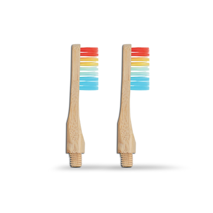 Revolve Toothbrush Starter Set