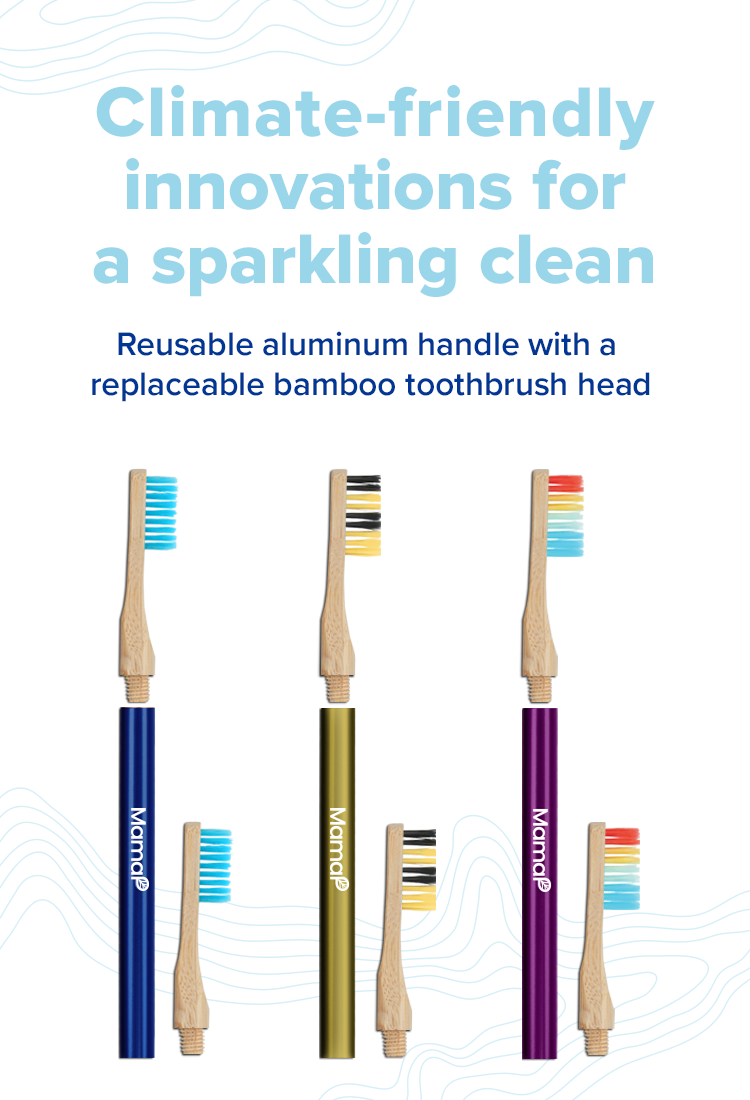 Revolve Toothbrush Starter Set