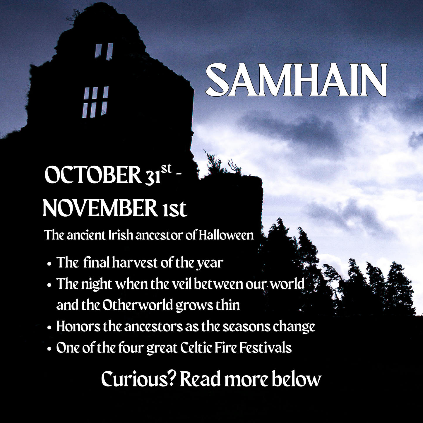 Samhain Diffuser Oil - Merlot Wine, Smoked Patchouli, and Dragon's Blood