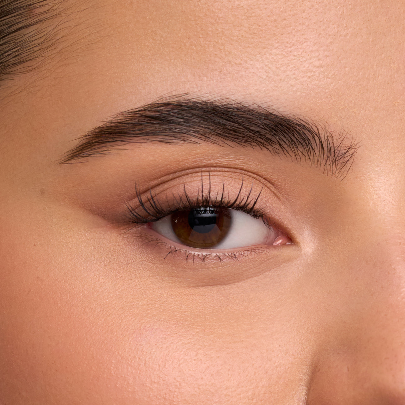 The Sweetie - Half Lash
