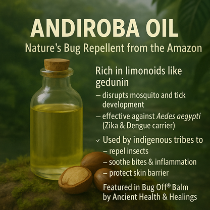 Outdoor Bundle