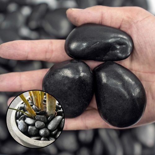 38lbs Black River Rocks, 2-3 inch Polished Pebbles for Plants, Vase Filler, Aquarium, Landscaping, Indoor/Outdoor Decor