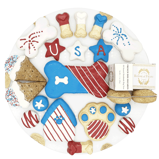 USA Themed Dog Treats Gift Box