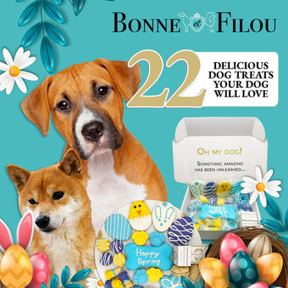 Easter-Spring Themed Dog Treats Gift Box