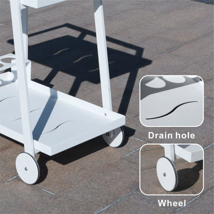 Aluminum White Indoor/Outdoor Patio Serving Dual-layer Cart with Teak Handle