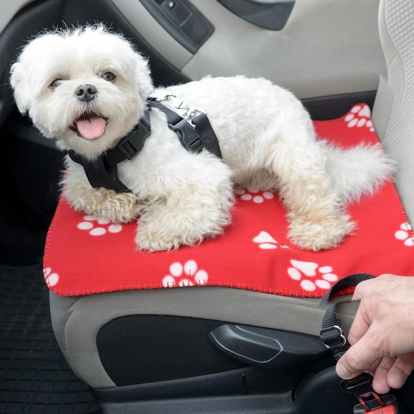 10 Pieces Pet Blankets with Paw Print Dog Cat Fleece Blankets Soft Warm Sleep Mat Pad Bed Cover for Kitten Puppy and Other Small Animals, 24 x 28 Inch
