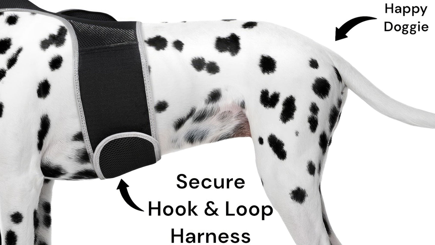 Portable GPS Tracking for Dog Realtime Waterproof Collar Pet Tracker Size:XS