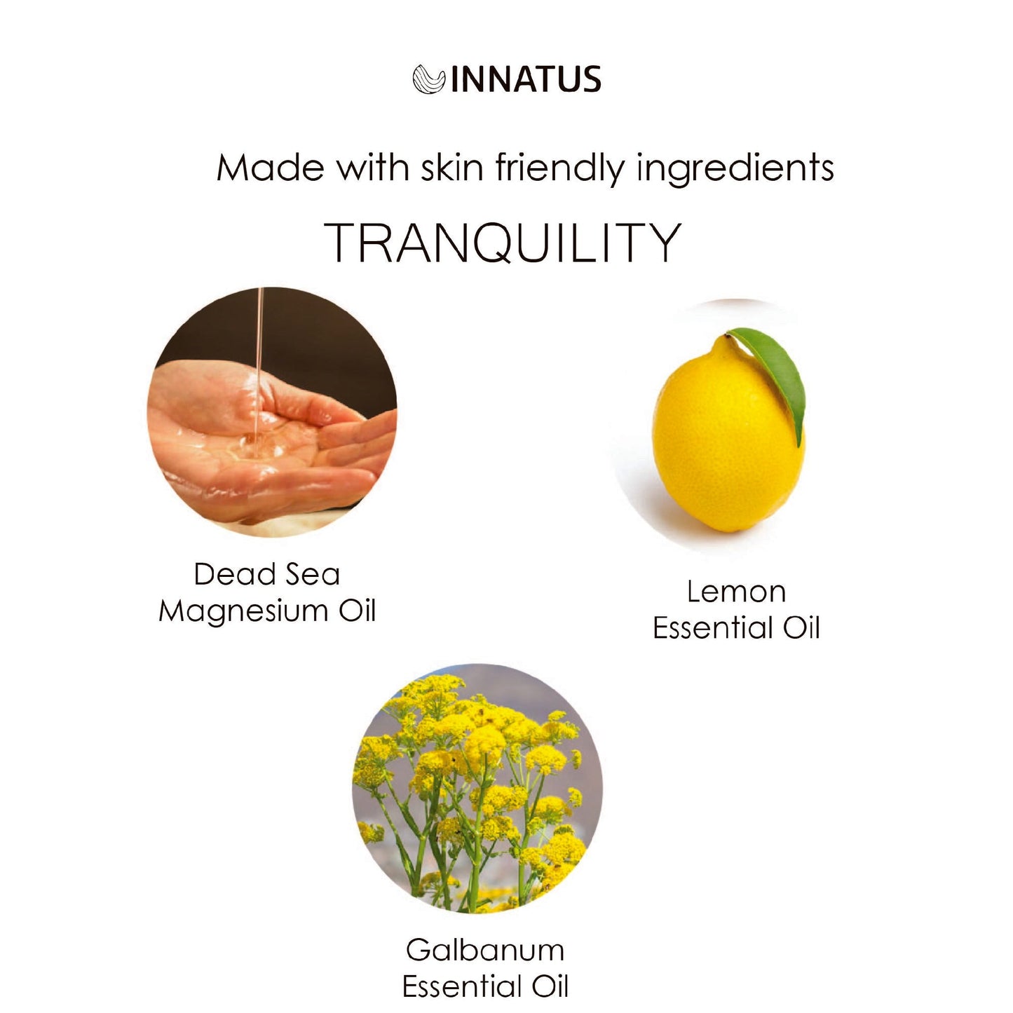 "Natural Dead Sea Magnesium Tranquility Oil – 4oz Topical Oil for Relaxation & Muscle Relief – Infused with Lemon & Galbanum Oils for Skin Hydration & Stress Reduction  "