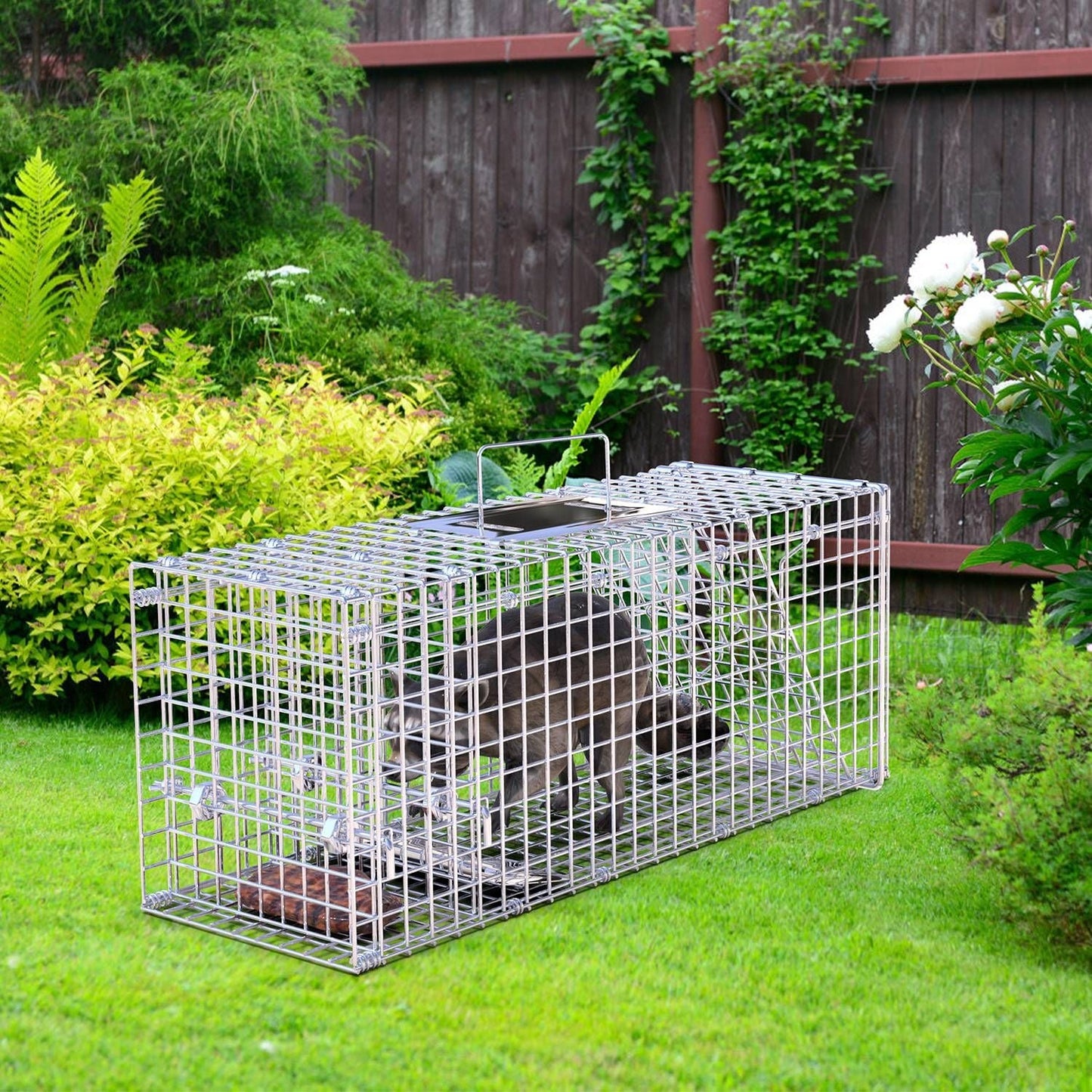 25.59Inch Live Humane Animal Trap Cage Heavy Duty Folding Catch And Release Rodent Cage For Rabbit Squirrel Possum Skunk Kitten Raccoon And More GPCT5437