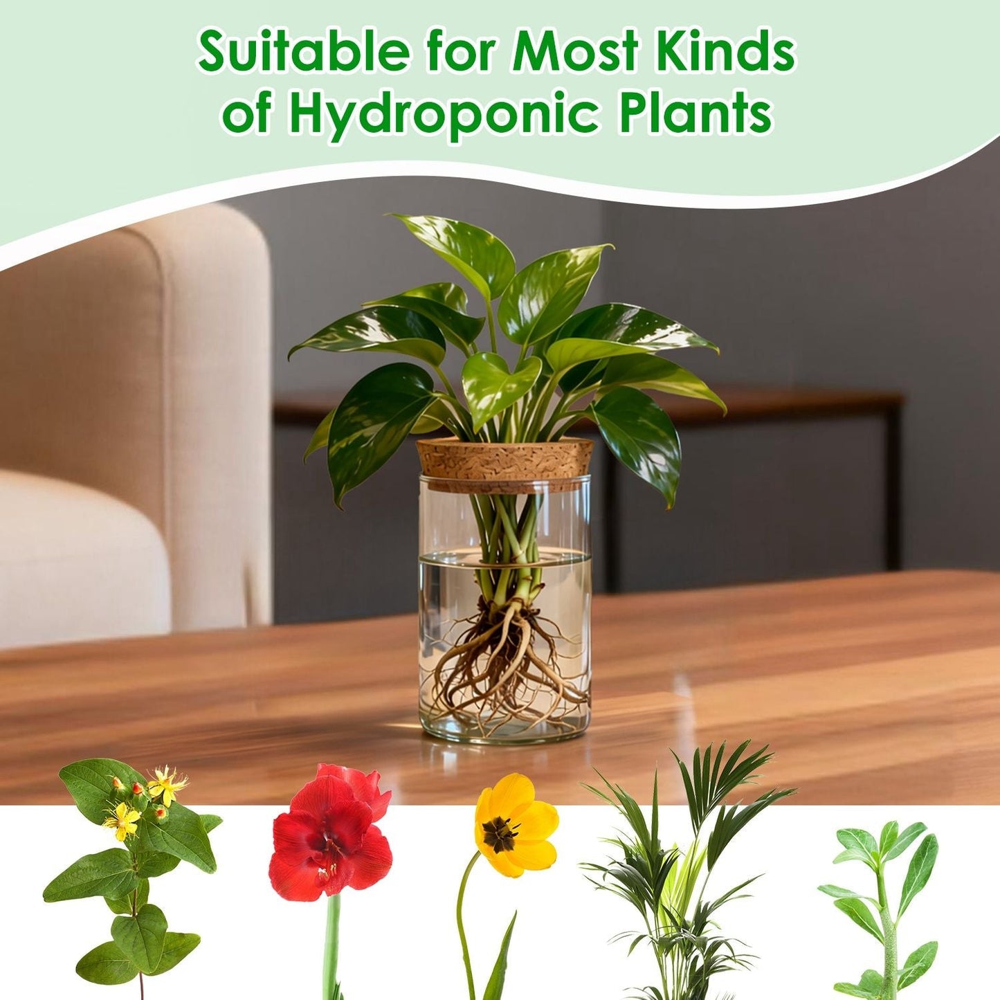 4Pack Glass Propagation Stations For Plants Indoor Glass Planters Hydroponic Plant Vases 2 Large 2 Small for Plant Cuttings Flower Arrangements