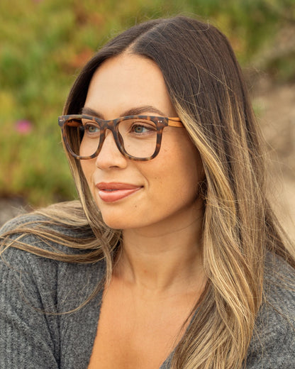 ALDEN BLUE LIGHT READERS