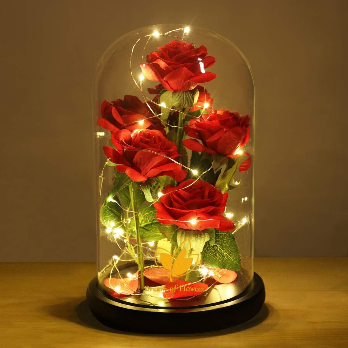 Valentines Day Gifts for Her,Valentines Decor Beauty and The Beast Rose Flowers with 40 LED Lights Rose in Glass Dome,Enchanted Rose Valentines Flowers Birthday Gifts for Women Girlfriend Mom Wife