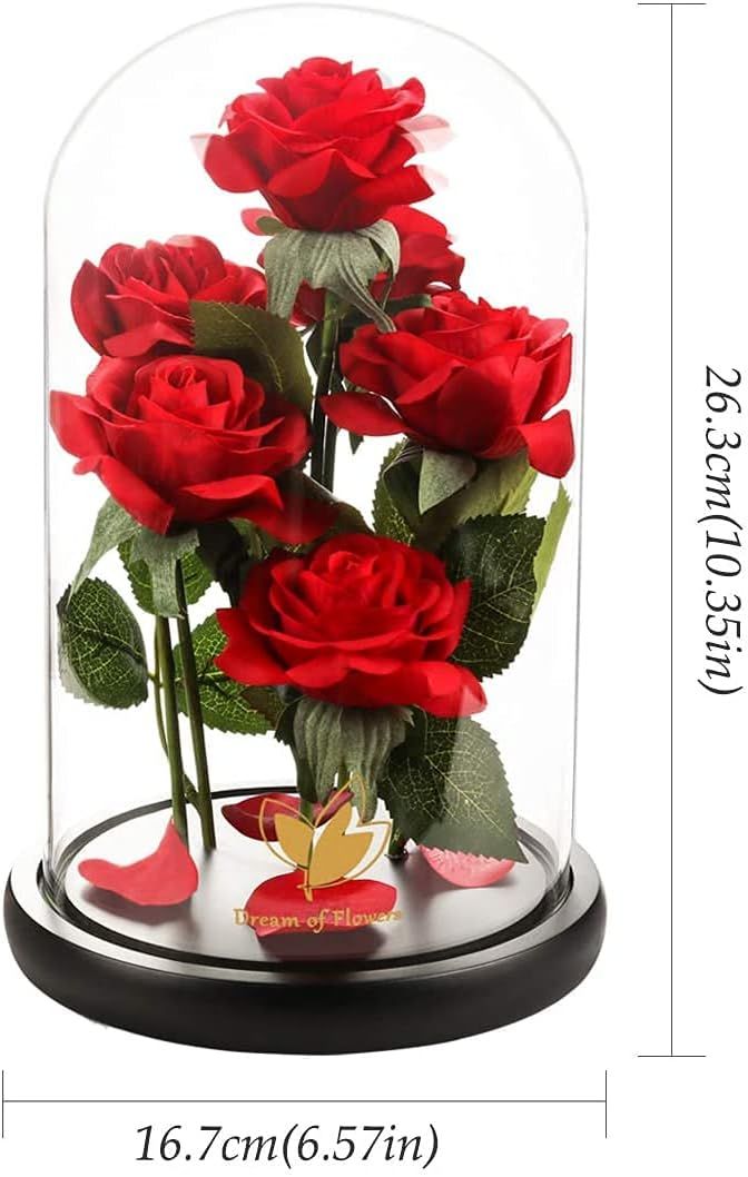 Valentines Day Gifts for Her,Valentines Decor Beauty and The Beast Rose Flowers with 40 LED Lights Rose in Glass Dome,Enchanted Rose Valentines Flowers Birthday Gifts for Women Girlfriend Mom Wife