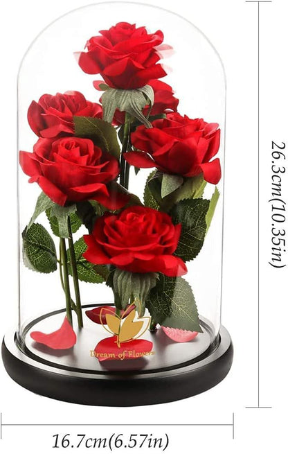 Valentines Day Gifts for Her,Valentines Decor Beauty and The Beast Rose Flowers with 40 LED Lights Rose in Glass Dome,Enchanted Rose Valentines Flowers Birthday Gifts for Women Girlfriend Mom Wife