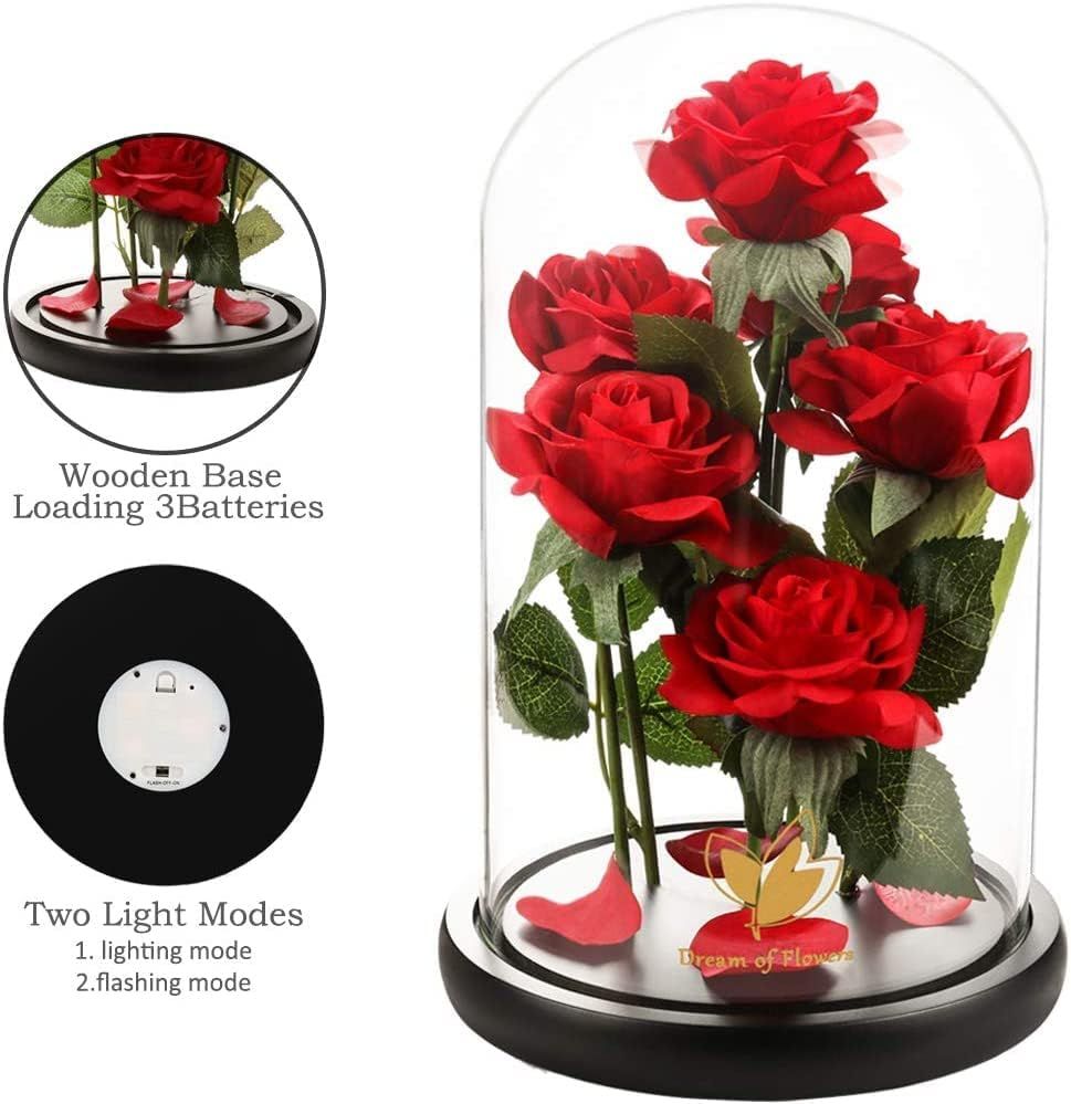 Valentines Day Gifts for Her,Valentines Decor Beauty and The Beast Rose Flowers with 40 LED Lights Rose in Glass Dome,Enchanted Rose Valentines Flowers Birthday Gifts for Women Girlfriend Mom Wife