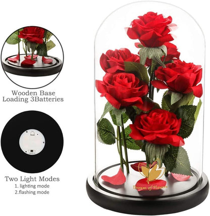 Valentines Day Gifts for Her,Valentines Decor Beauty and The Beast Rose Flowers with 40 LED Lights Rose in Glass Dome,Enchanted Rose Valentines Flowers Birthday Gifts for Women Girlfriend Mom Wife