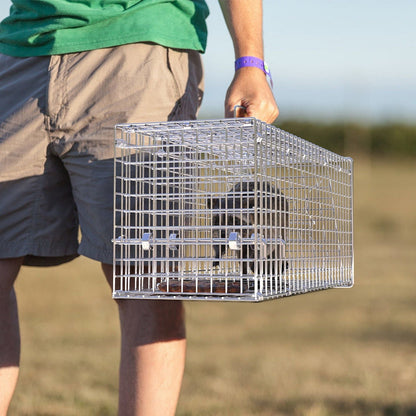 25.59Inch Live Humane Animal Trap Cage Heavy Duty Folding Catch And Release Rodent Cage For Rabbit Squirrel Possum Skunk Kitten Raccoon And More GPCT5437