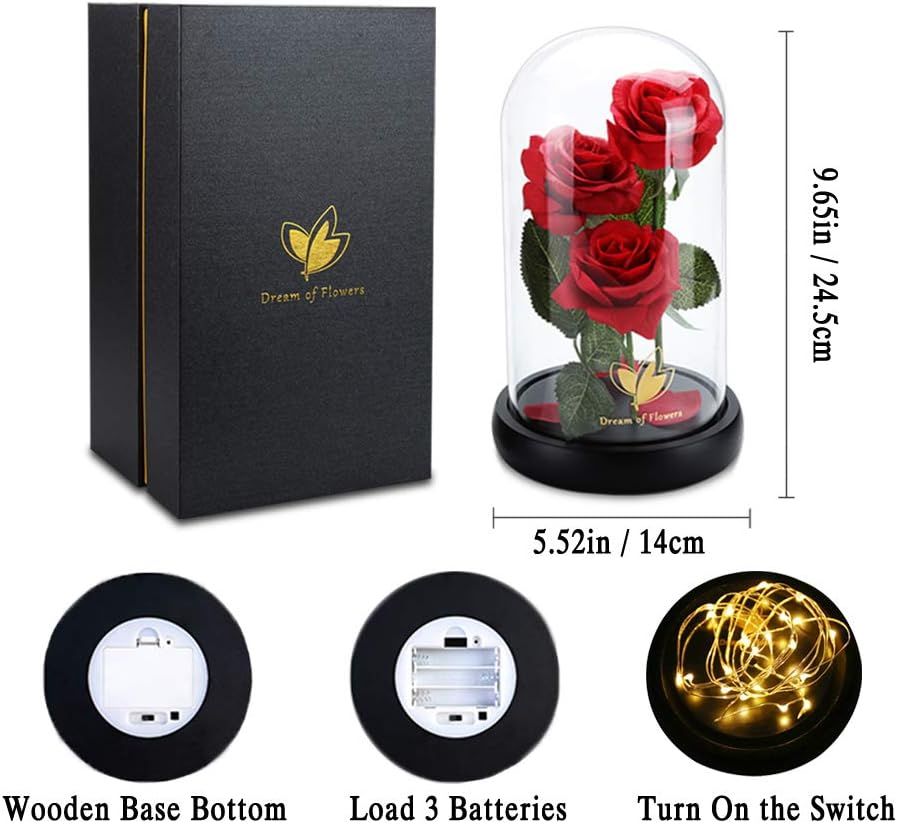 Valentines Day Gifts for Her,Valentines Decor Beauty and The Beast Rose Flowers with 40 LED Lights Rose in Glass Dome,Enchanted Rose Valentines Flowers Birthday Gifts for Women Girlfriend Mom Wife