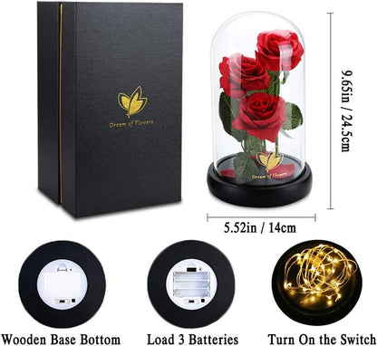 Valentines Day Gifts for Her,Valentines Decor Beauty and The Beast Rose Flowers with 40 LED Lights Rose in Glass Dome,Enchanted Rose Valentines Flowers Birthday Gifts for Women Girlfriend Mom Wife