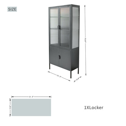 Elegant Matte Black Metal and Glass Storage Cabinet with Adjustable Shelves