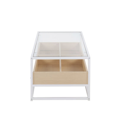 Display Contemporary Coffee Table in White Metal, Natural Wood, and Clear Glass by