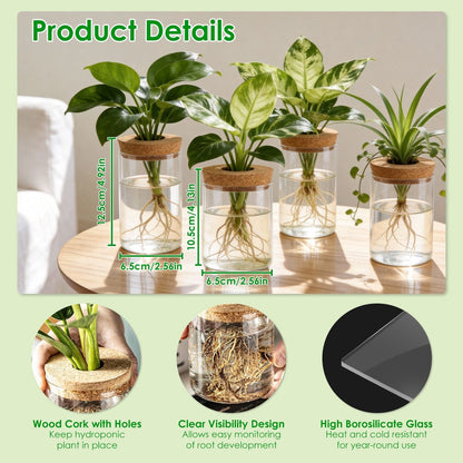4Pack Glass Propagation Stations For Plants Indoor Glass Planters Hydroponic Plant Vases 2 Large 2 Small for Plant Cuttings Flower Arrangements