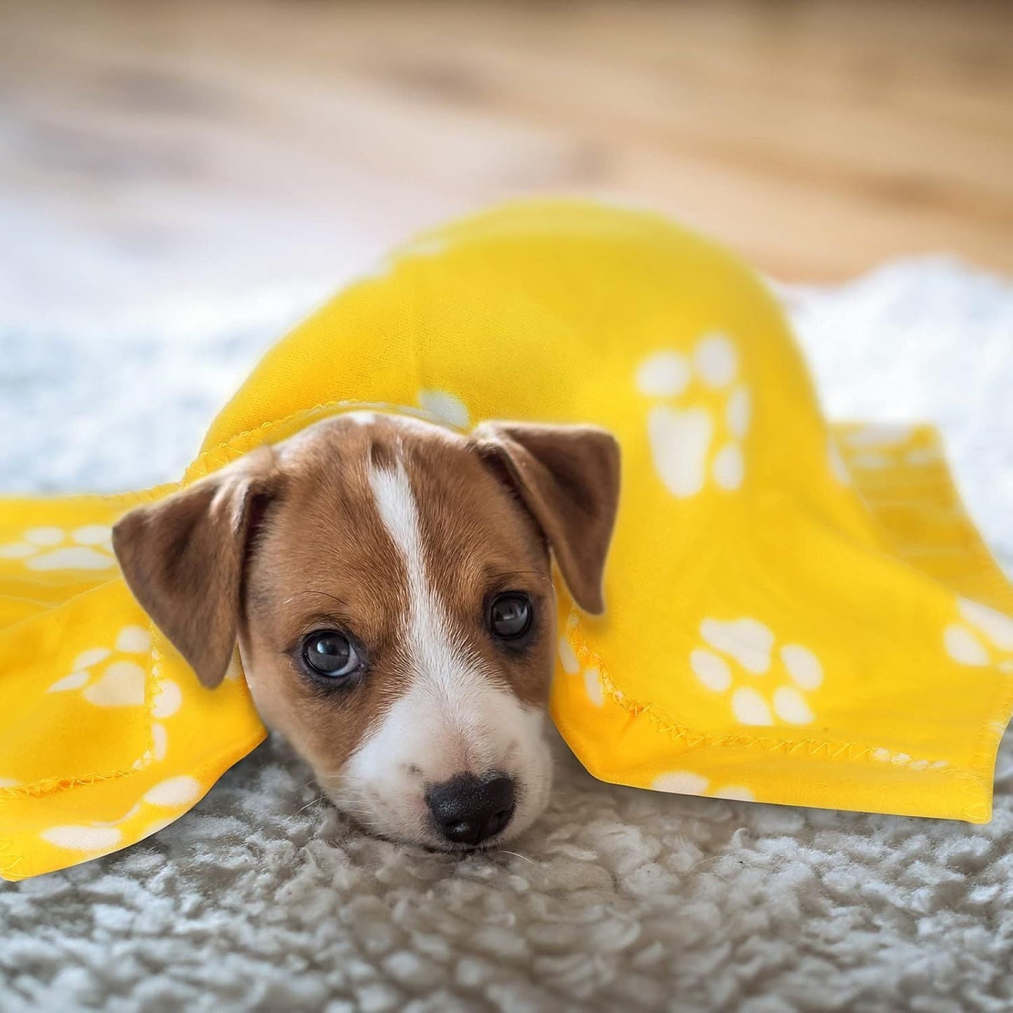 10 Pieces Pet Blankets with Paw Print Dog Cat Fleece Blankets Soft Warm Sleep Mat Pad Bed Cover for Kitten Puppy and Other Small Animals, 24 x 28 Inch