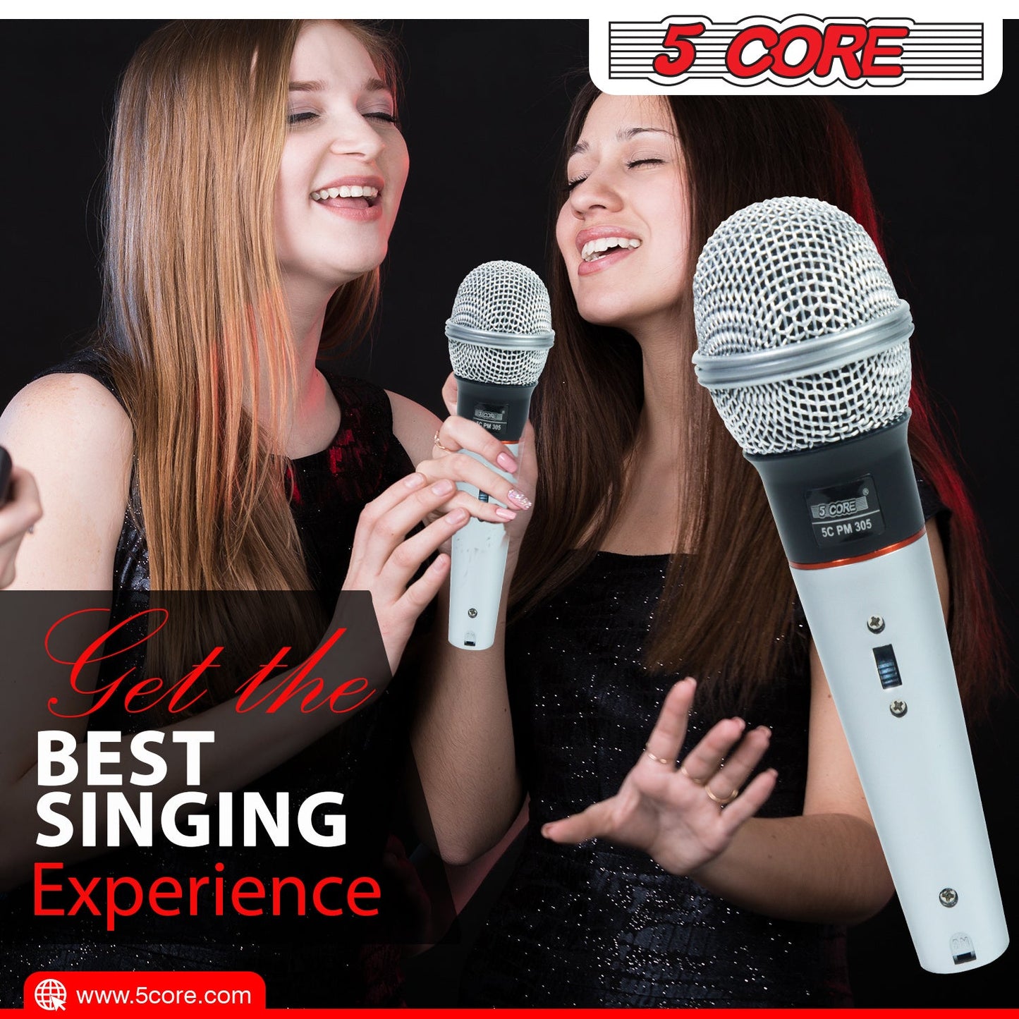 5 Core Microphone Wired Dynamic Vocal Handheld Mic Cardioid Karaoke Unidirectional Microfono w On and Off Switch Includes XLR Audio Cable for Singing, Public Speaking & Parties PM 305