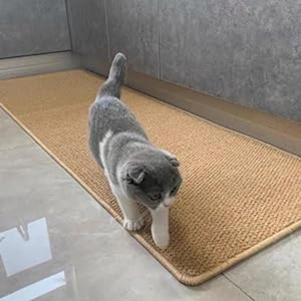 1Pc Laundry Room Rug 25X95In, Supert Absorbent Runner Rugs, Satin Resistant Washable Non Skid And Anti Fatigue Mats For Hallway Laundry Room, Hallways Runners Rug